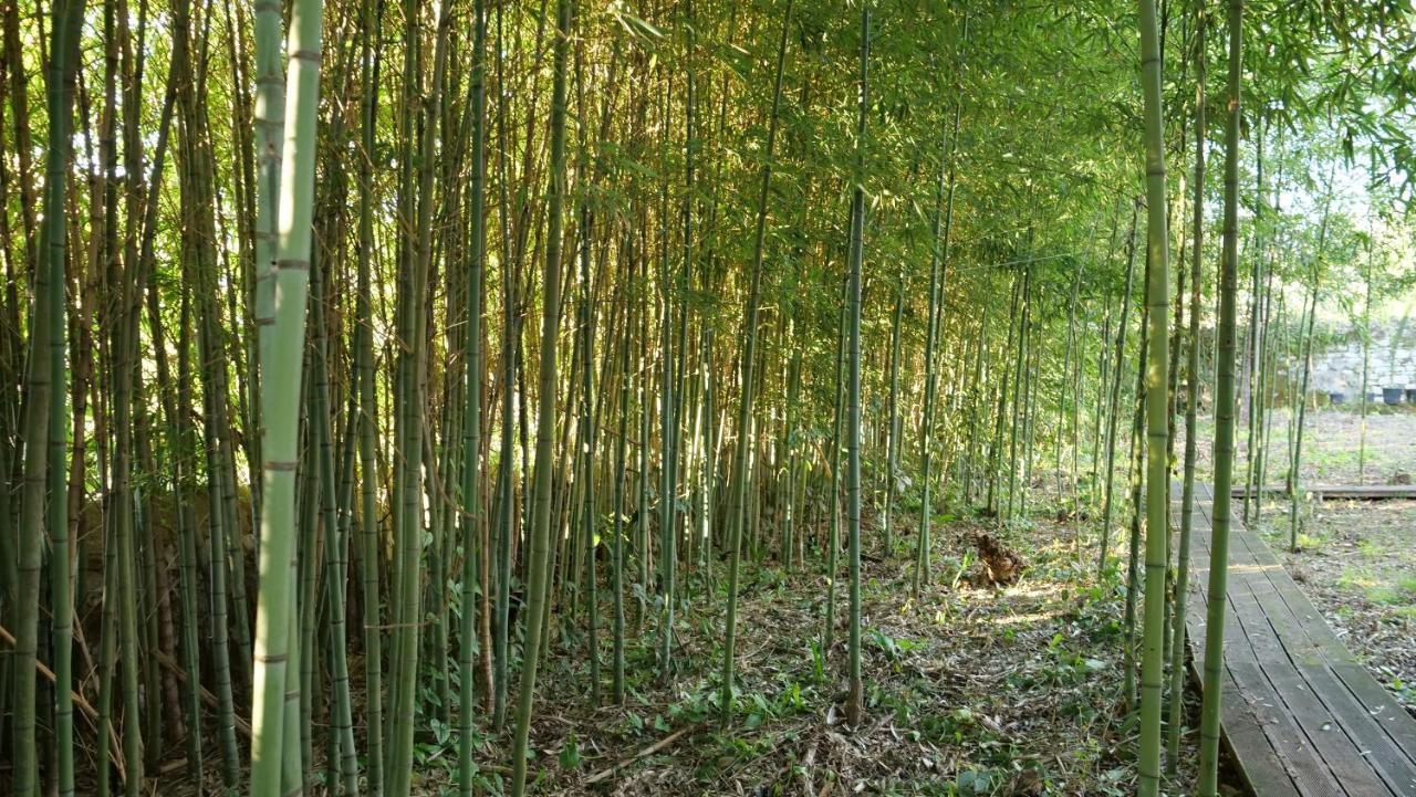 Heron'S Path I Analipsis  ภายนอก รูปภาพ